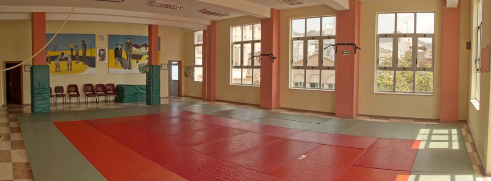 Odoo • Image and Text